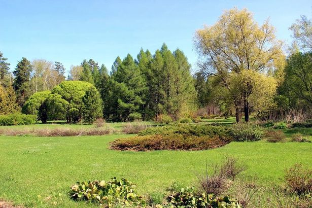 Южно-Сибирский ботанический сад