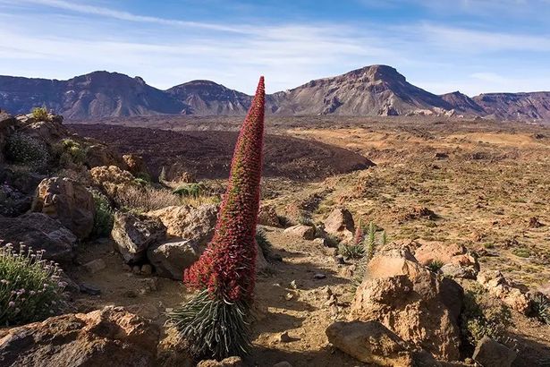 Teide National Park