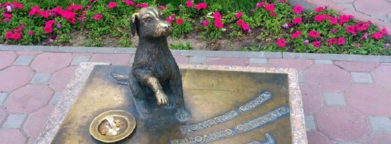Памятник бездомной собаке