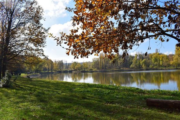 Chisinau Botanical Garden