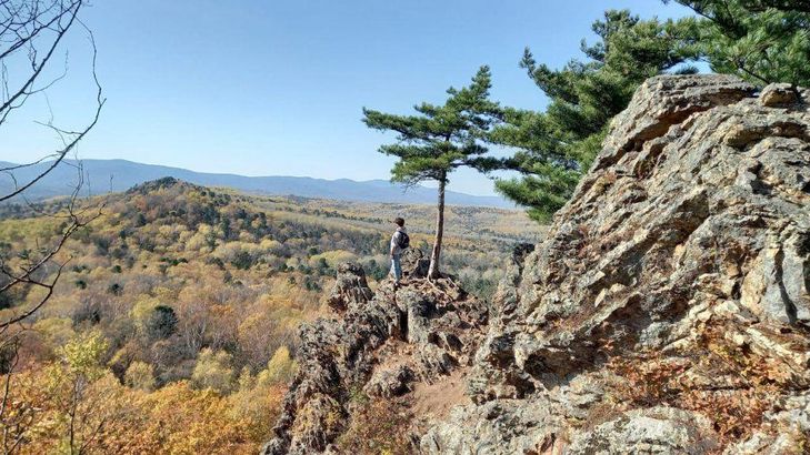 Змеиная сопка