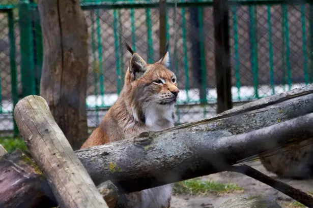 Минский зоопарк