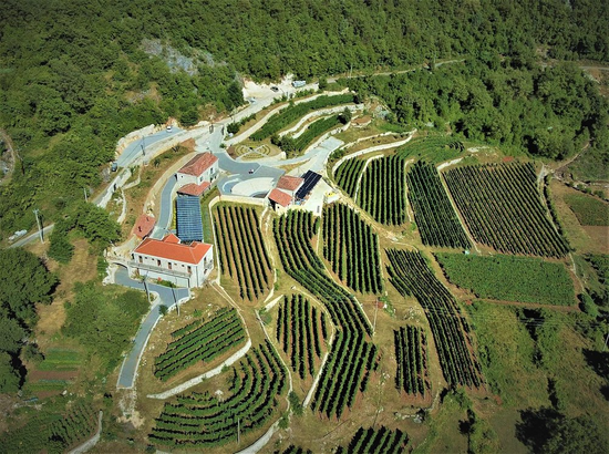 Markovic Winery & Estate