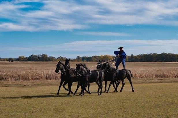 Hortobágy National Park - the Puszta