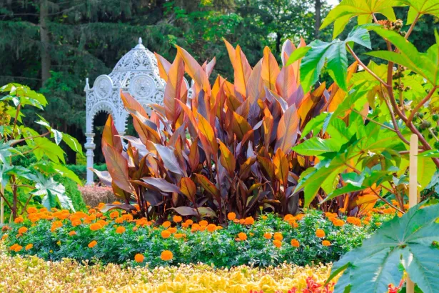 Центральный ботанический сад