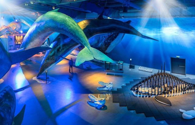 The Whales of Iceland Museum