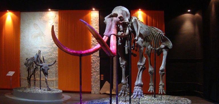 Музей пермских древностей