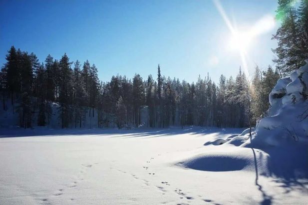 Repovesi National Park