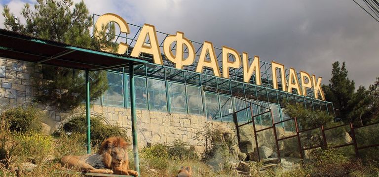 Сафари-парк