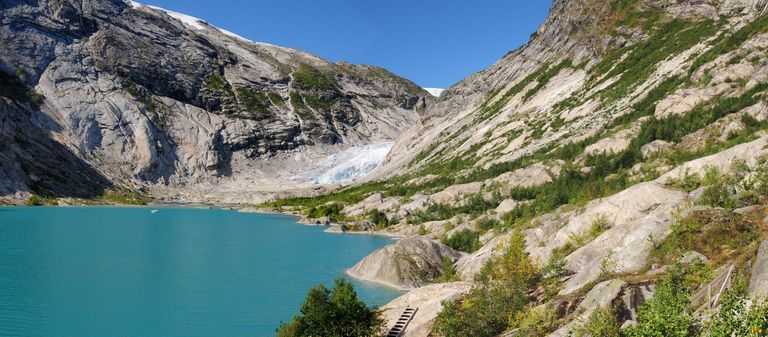 Nigardsbreen