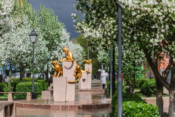 Сквер Сибирских Кошек