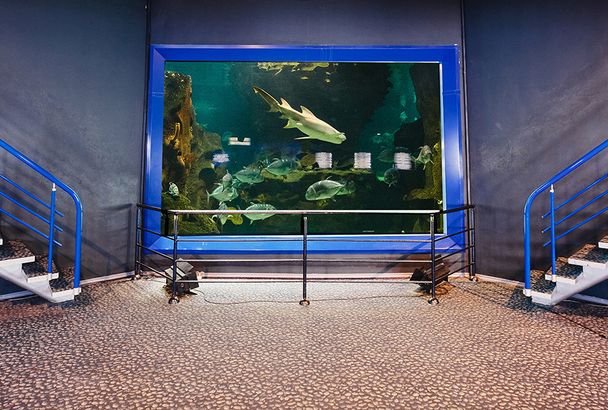 Океанариум