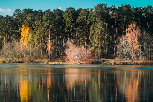 Серебряный бор