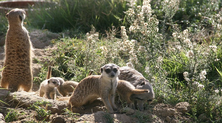 Izmir Wild Life Park
