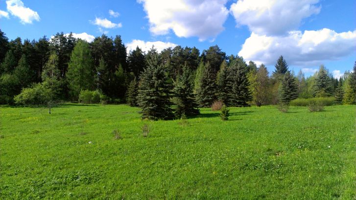 Ботанический сад ПетрГу