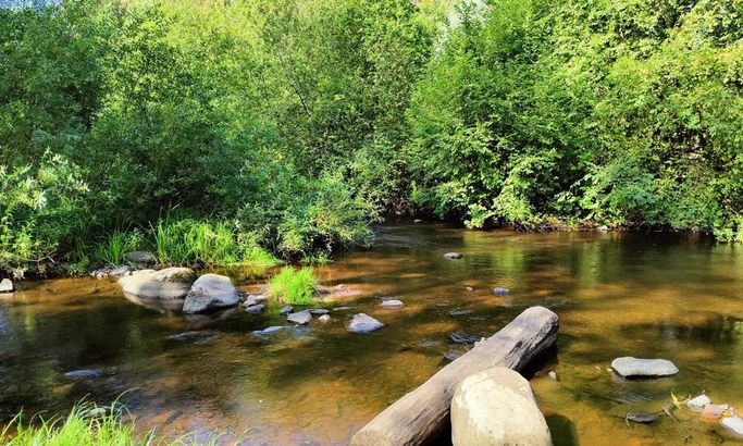 Лососинский парк