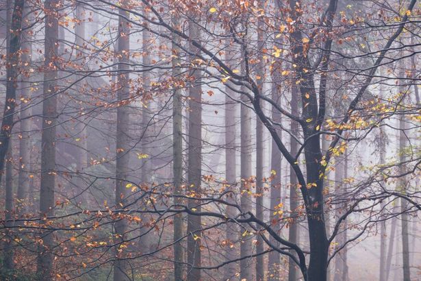 Saxon Switzerland National Park