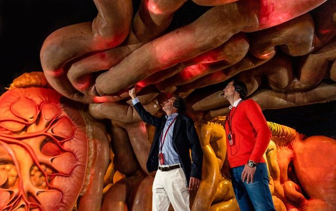 Музей Внутри человека