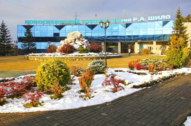 Новосибирский зоопарк