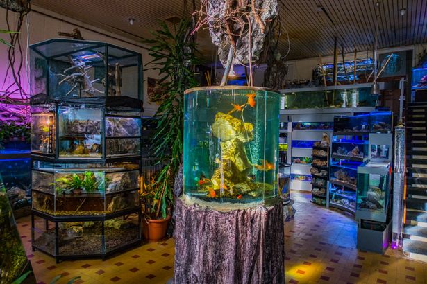 Public Aquarium and Tropicarium Belgrade