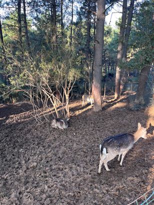 Turkcell Platinum Park